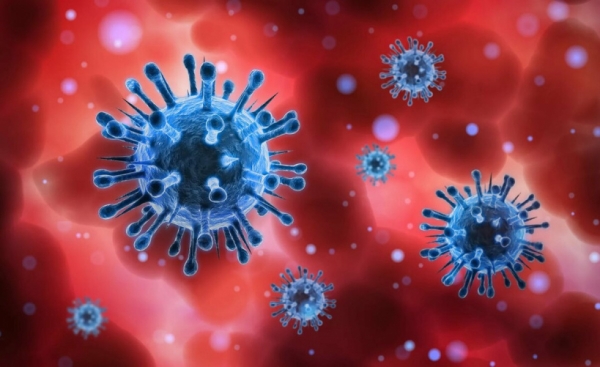 Химчанам на заметку: уже свыше 1,6 млн исследований на коронавирус и антитела к нему провели в Подмосковье