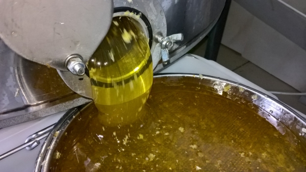 Мёд подмосковного фермера занял 3 место по исследованиям качества продукта среди 46 торговых марок РФ