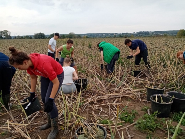 Первый студенческий сельскохозяйственный отряд вышел на поля Московской области