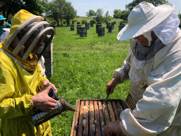 Более 830 исследований пчелосемей провели в Московской области