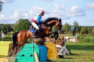 В Химках состоялся Чемпионат России по конному троеборью?