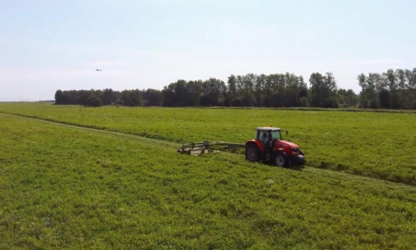 Разин: уборку кормов в Московской области планируется завершить в ноябре