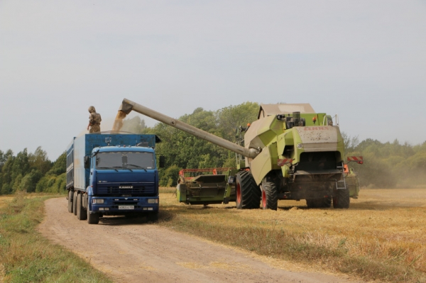 Порядка 400 тыс. тонн зерновых и зернобобовых культур собрали сельхозпроизводители Московской области