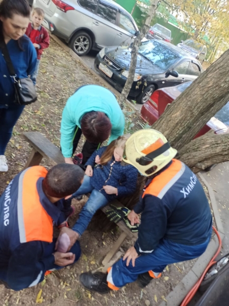 Спасатели достали химчанку, застрявшую в дереве