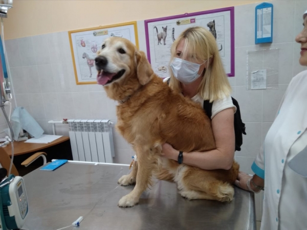 Более 3,6 тыс. случаев заболевания собак пироплазмозом диагностировано в ветклиниках Подмосковья с начала года