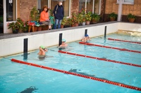 Не вброд, а вплавь: химкинские учреждения прошли водные испытания городского чемпионата по плаванию?‍♂