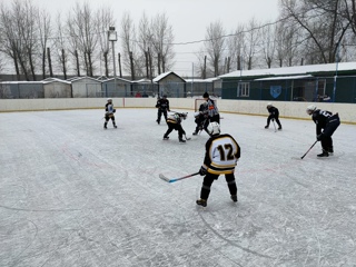 Химкинские хоккеисты сыграли вничью с Щёлково в рамках Первенства Московской области?
