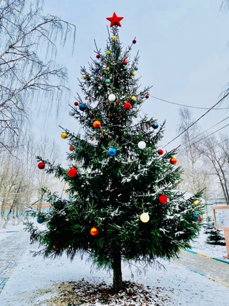 Для жителей Подрезково к Новому году установят и украсят 7 праздничных елей.