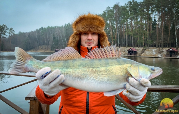 Химчанам на заметку: зимняя рыбалка-где поймать форель, карпа и щуку