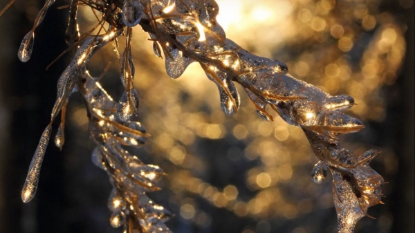 Ледяной дождь может пройти в новогоднюю ночь в Подмосковье