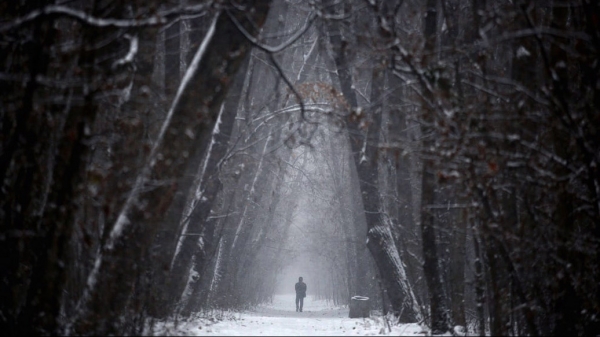 Жителям Подмосковья рассказали о правилах, которые помогут не заблудиться в лесу зимой