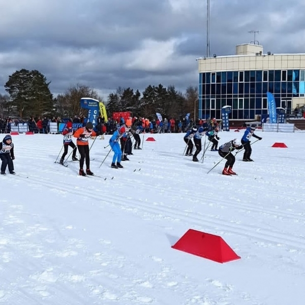 Химкинские лыжники завершили старты фестиваля "Крещенские морозы" на призовых местах?