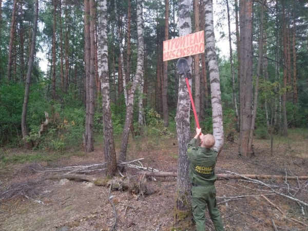 Почти 2,5 тысячи незаконных рекламных щитов убрали из лесов Подмосковья с начала года