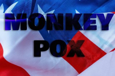 США объявили оспу обезьян чрезвычайной ситуацией в здравоохранении