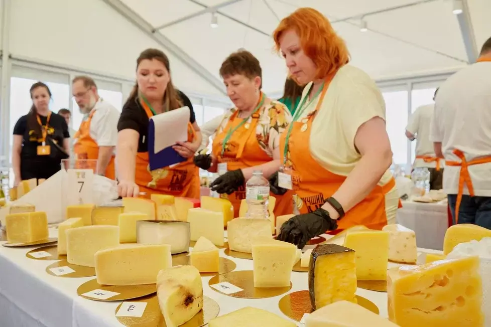 Лучший сыр России выбрали на фестивале «Сыр! Пир! Мир!» в Истре