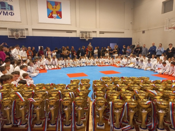 Пять каратистов Химок выиграли медали массового турнира в Люберцах
