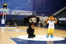 В Химках прошла всероссийская баскетбольная "Чебуриада"?