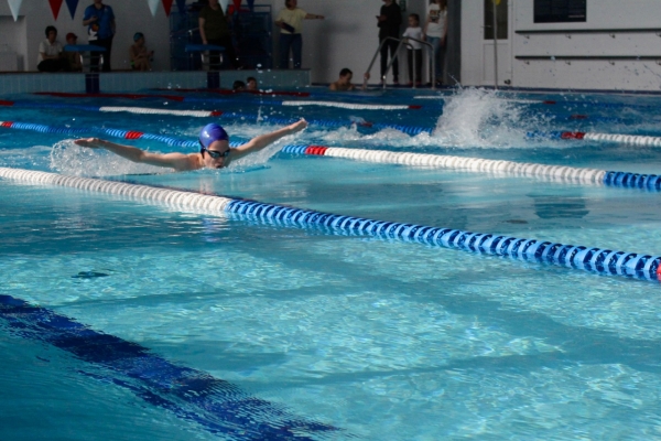 Спортсмены химкинской секции плавания соревновались на дорожках бассейна «Родины»