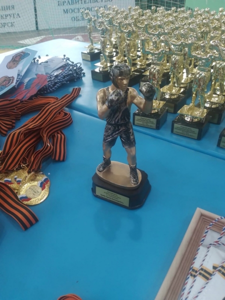 Боксёры Лунёво добились наград на «Открытом ринге» Солнечногорска