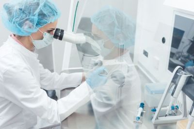 Рынок генетического тестирования эмбрионов в России оценили в 13 млн долларов