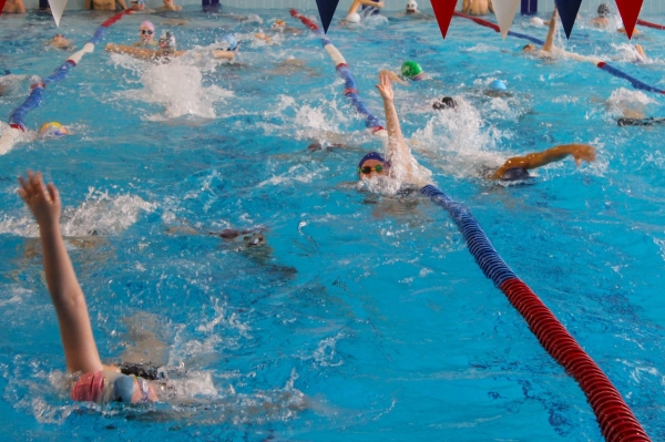 По итогам домашнего первенства определились лучшие спортсмены секции плавания школы «Химки»