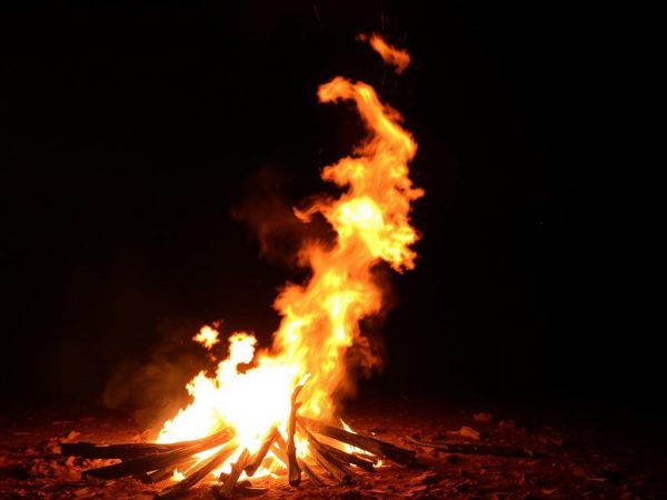 Огонь у подмосковных окраин: что происходит с пожарами в Химках